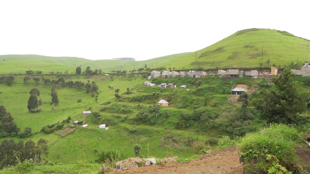 Une fillette tuée et trois blessés dans une attaque armée à Mbuhi