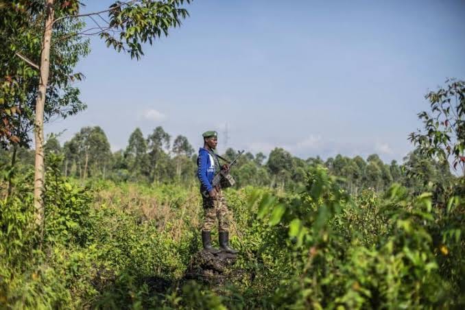 Photo d'illustration : Un résistant de l'autodéfense à la ligne de front dans le territoire de Masisi.