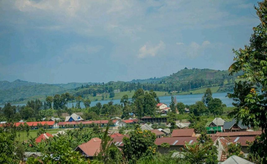 Groupement Mupfuni Shanga en chefferie de Bahunde dans le territoire de Masisi dans le village de Bweremana