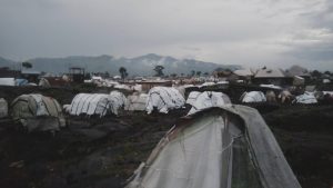 CAMP-BWER