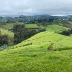 Une ferme en territoire de Masisi