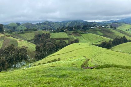 Une ferme en territoire de Masisi