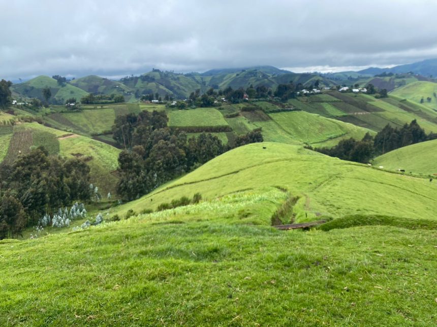 Une ferme en territoire de Masisi