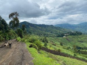MASISI (15)