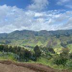 Photo d'illustration : Dans la ferme de BUNYOLE en territoire de MASISI