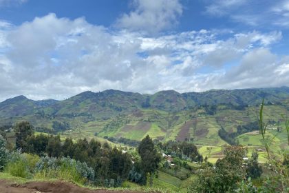 Photo d'illustration : Dans la ferme de BUNYOLE en territoire de MASISI