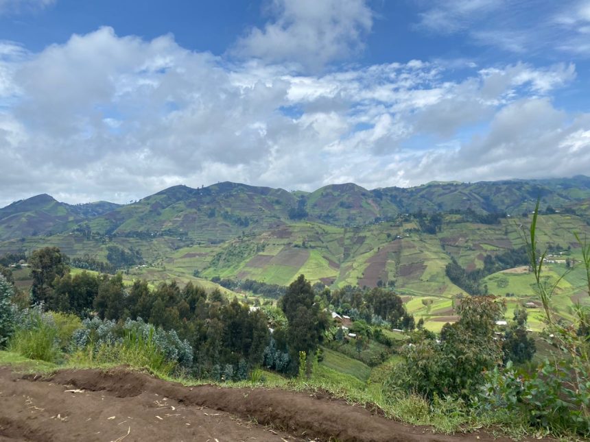 Photo d'illustration : Dans la ferme de BUNYOLE en territoire de MASISI