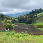 Dans la ferme de BUNYOLE en territoire de MASISI