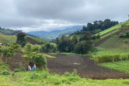 Dans la ferme de BUNYOLE en territoire de MASISI