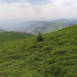 La ferme de BUNYOLE a Mushaki dans le territoire de MASISI