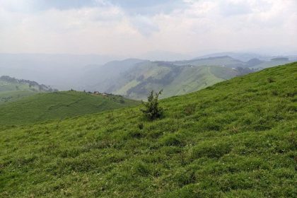 La ferme de BUNYOLE a Mushaki dans le territoire de MASISI