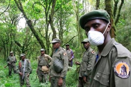 Une nouvelle embuscade meurtrière qui intervient seulement quelques jours après une autre qui avait elle aussi coûté la vie à un écogarde