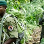 L'Institut Congolais pour la Conservation de la Nature (ICCN)