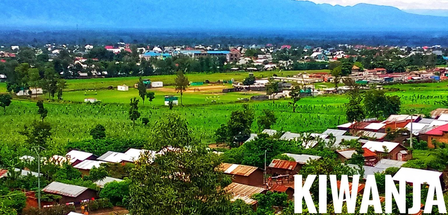 Cité de Kiwanja dans le territoire de Rutshuru