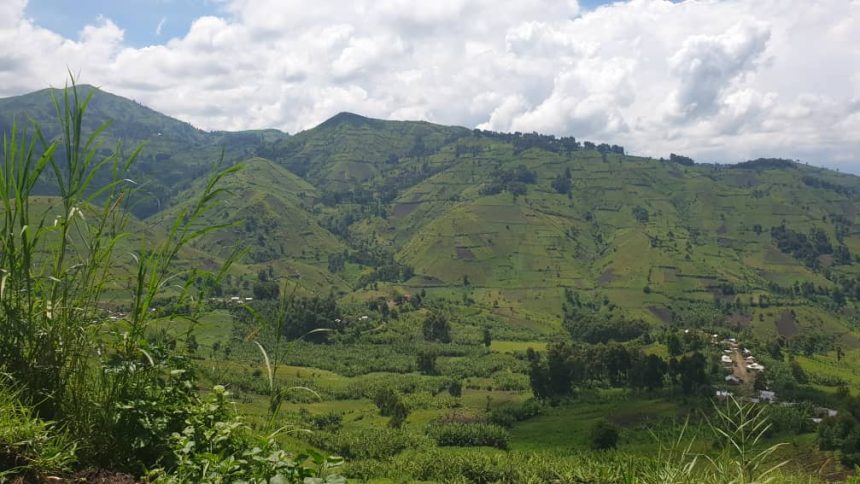 Photo d'illustration : Près de Mushaki dans le territoire de Masisi