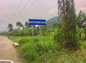 Groupement Mupfuni Shanga en chefferie de Bahunde dans le territoire de Masisi dans le village de Bweremana