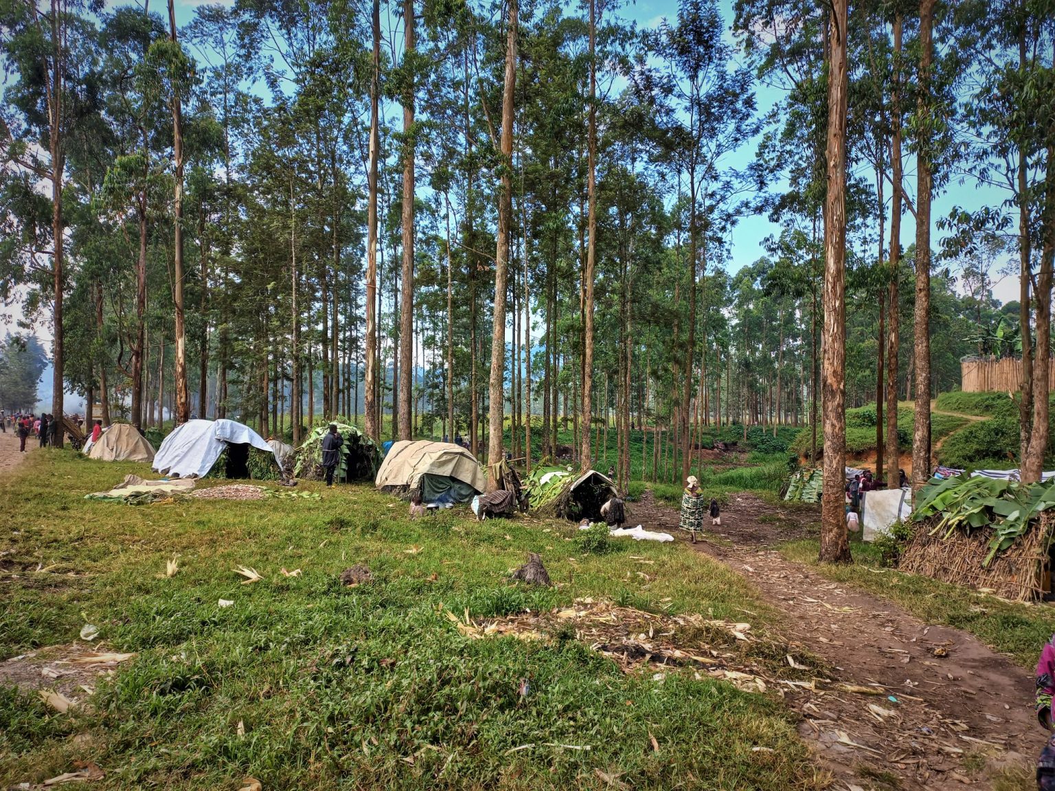 Les déplacés de guerres au Nord-Kivu