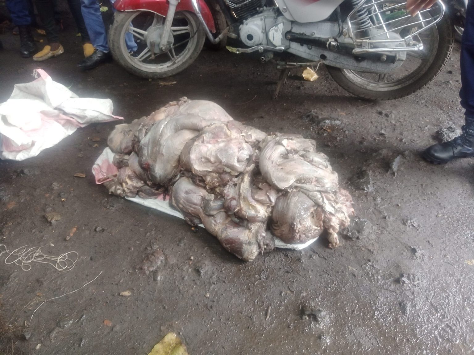 De viande avariés saisi par les services de l'hygiène en intelligence avec ceux de sécurité