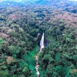 Le Parc National de Kahuzi-Biega condamne l’attaque contre son quartier général du secteur de Nzovu