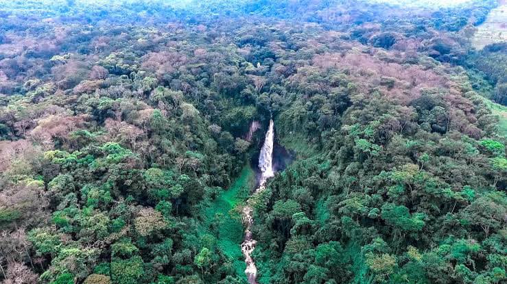 Le Parc National de Kahuzi-Biega condamne l’attaque contre son quartier général du secteur de Nzovu