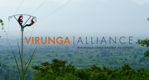 La fondation Virunga