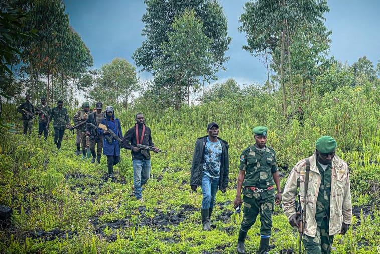 Les résistants patriotes dits Wazalendo