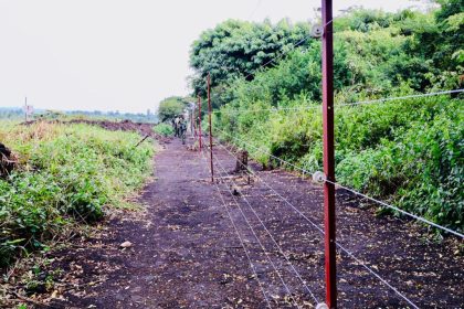 Les agriculteurs ressentent les effets de la clôture électrique séparant la population et le parc national de Virunga