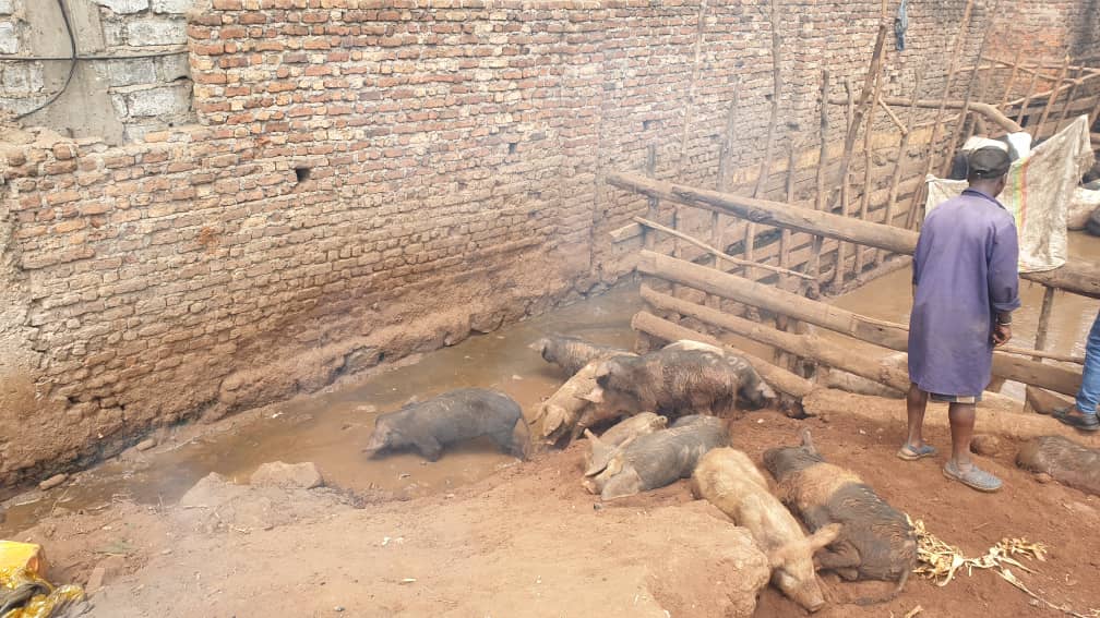 La société civile, noyau de Nkafu annonce le début pour très prochainement des actions pour réclamer la réhabilitation de l'abattoir de Muhanzi.