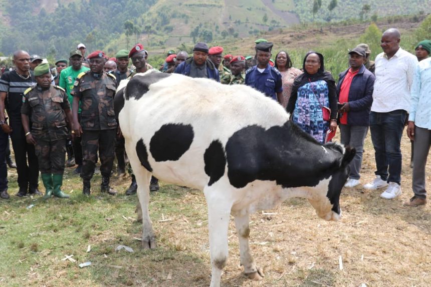 Récupération de près de 150 vaches volées par des groupes armés et leur restitution aux propriétaires