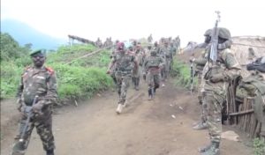 Opérations militaires fructueuses au Nord-Kivu : 229 terroristes ADF neutralisés, 191 capturés en 4 mois