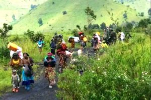 Rutshuru : L'Organisation veille humanitaire appelle le M23, FARDC, WAzalendo à respecter le cessez-le-feu sur l'axe KIRIMA, KIBIRIZI, Nyanzale pour des raisons humanitaires Population de Karenga fuyant les affrontements du M23
