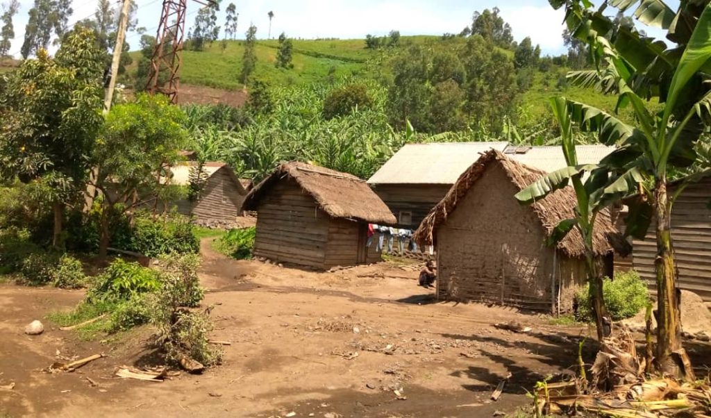 Photo d'illustration : Près de Shasha, groupement Mupfuni