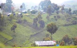 Masisi : Des violents affrontements entre les Wazalendo et M23 dans le centre de Kirumbu Photo d'Illustration : Un village du territoire de Masisi
