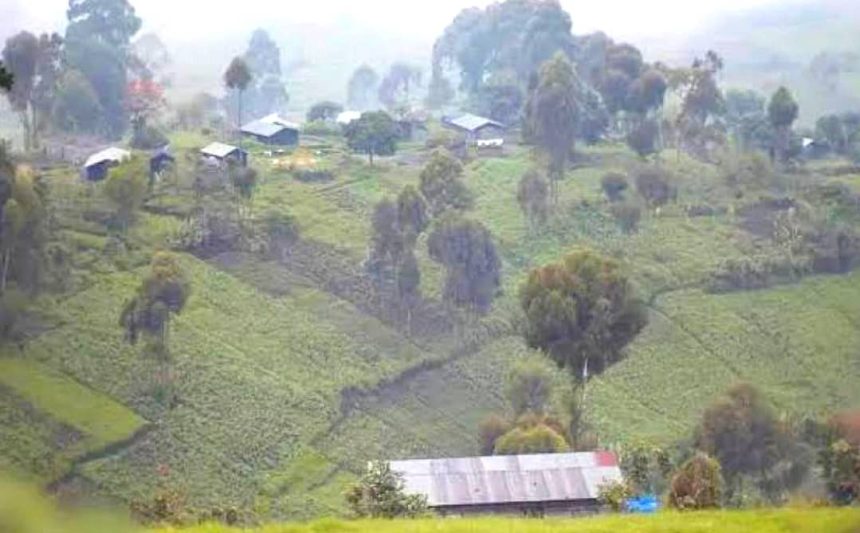 Photo d'Illustration : Un village du territoire de Masisi