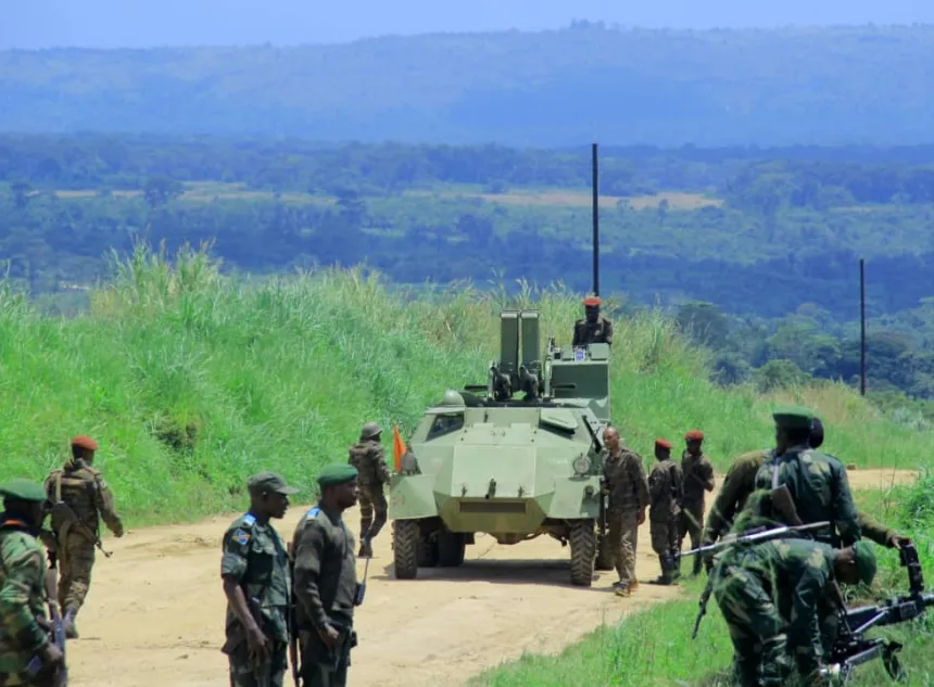 Photo de tiers : Les unités FARDC en pleine opération dans les Ruwenzori