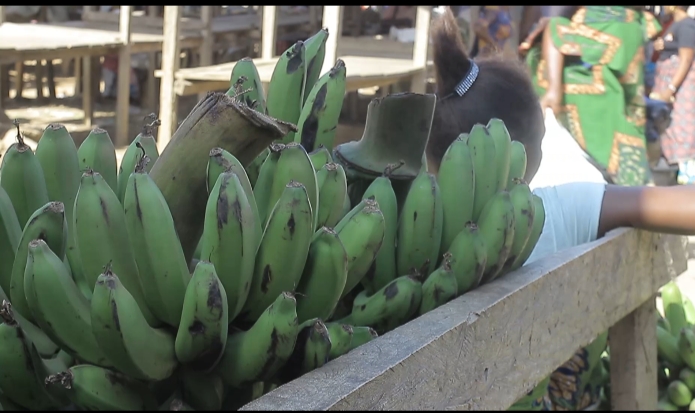 Produit agricole au petit marché Mayangose à Boikene