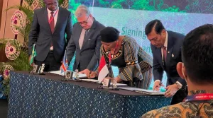 Les trois grands bassins forestiers du monde rappellent leur rôle dans la lutte contre le changement climatique