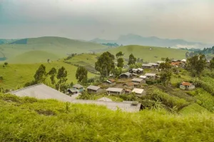 Masisi : Attaque des terroristes du M23-RDF contre les jeunes Wazalendo à Kalengera Des nouveaux affrontements signalés entre M23 et les wazalendo, FARDC à Kilolirwe