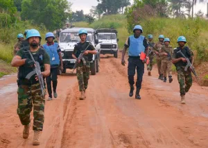 RDC-Opération Spring bok : La société civile urbaine et les mouvements citoyens appellent à la vigilance Opération Spring bok, les mouvements citoyens et groupes de pression alertent un agenda caché de la MONUSCO au Nord Kivu