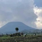 Au moins deux personnes ont été tuées à Mudja dans le village Kiziba2 groupement Munigi