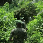 Photo d'illustration : Des éléments FARDC en pleine patrouille de reconnaissance dans le secteur opérationnel Sokola 1 grand nord