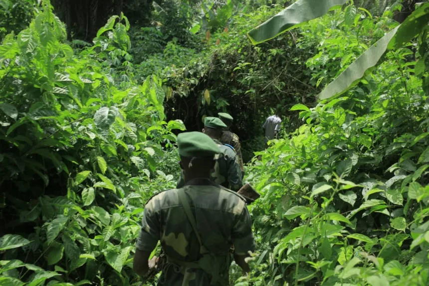 Photo d'illustration : Des éléments FARDC en pleine patrouille de reconnaissance dans le secteur opérationnel Sokola 1 grand nord