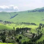 Photo d'illustration : La ferme de BUNYOLE à Mushaki dans le territoire de MASISI