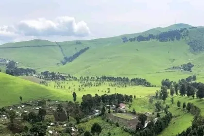 Photo d'illustration : La ferme de BUNYOLE à Mushaki dans le territoire de MASISI