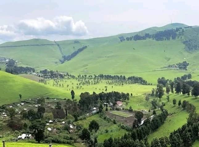 Photo d'illustration : La ferme de BUNYOLE à Mushaki dans le territoire de MASISI