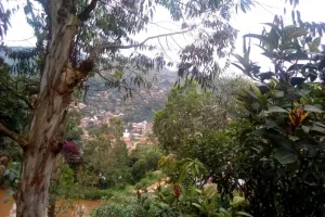 La situation sécuritaire dans la localité de Bulambika, Territoire de Kalehe, continue à se détériorer