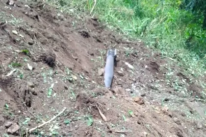 Une bombe tombe dans un pâturage sans faire des dégâts à Kirotshe