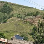 Les fidèles chrétiens de Goma qui fréquentent la colline CCLK, située dans la commune de Goma