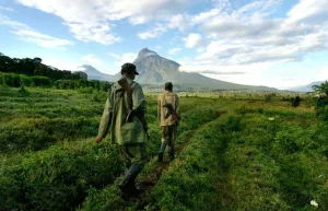 Gardien parc national des Virunga a Kibumba [Photo d'illustration]