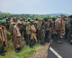 Renforcement des opérations militaires contre les M23_RDF